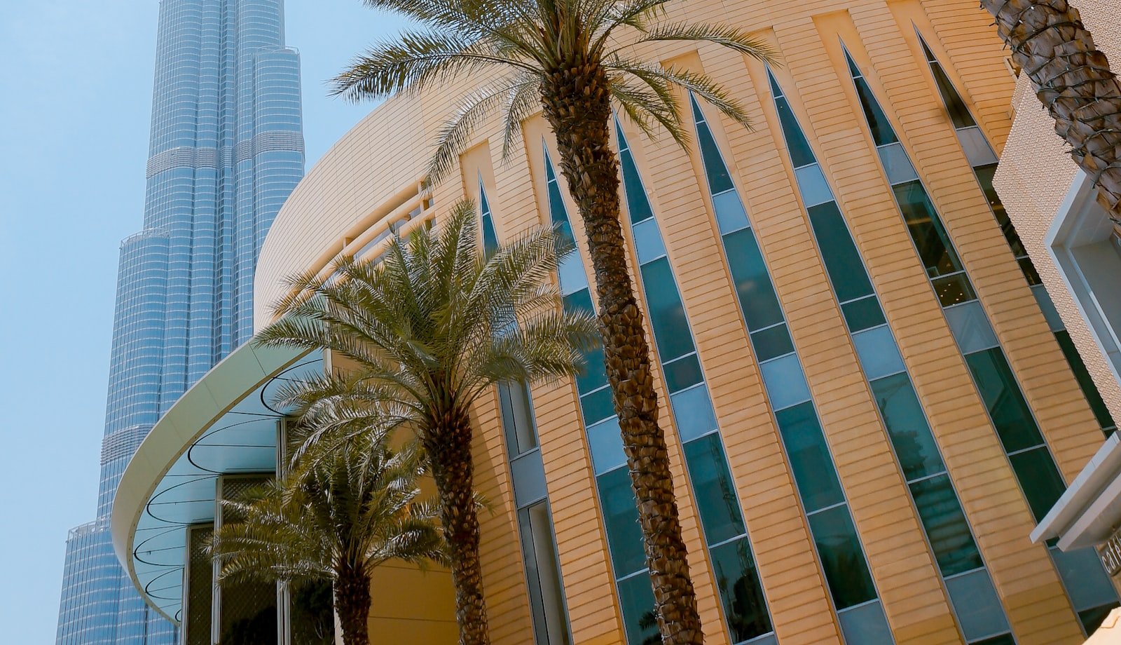 Zabeel