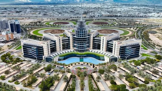 The Oasis